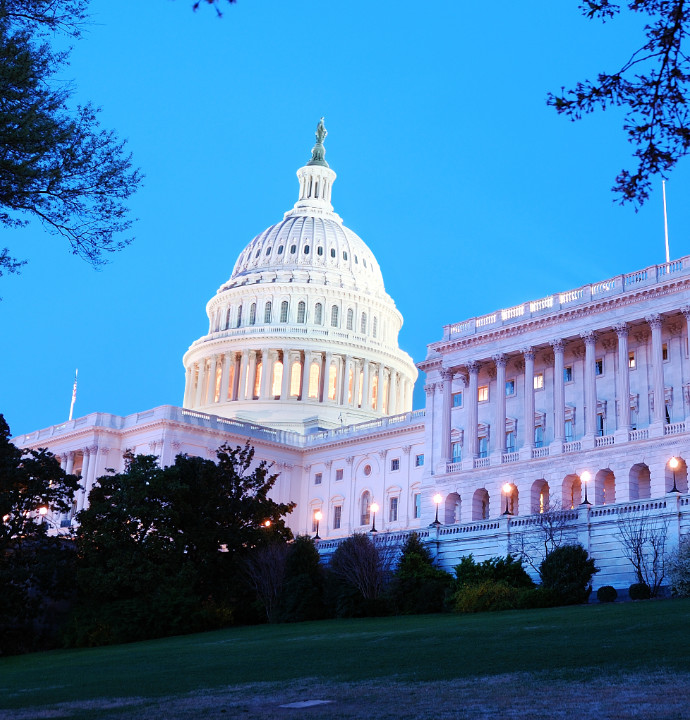 Quick Polls: Fast Feedback When You Need It Most